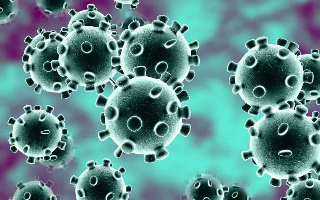 Fast Facts on the COVID-19 (Corona Virus)!